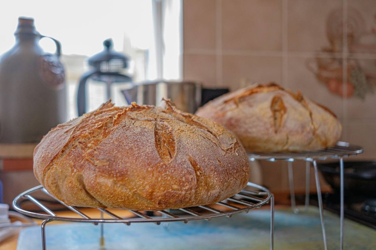 Two large sourdough miche loaves cooling on a wire rack.
